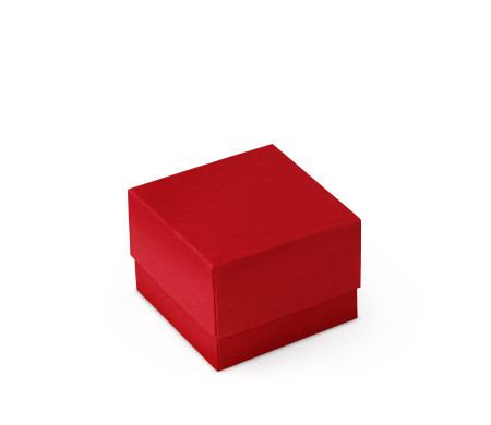 Bonita Caja Regalo con Tapa y Lazo Decorativo