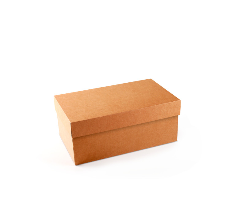 Caja para Zapatos ¡Organiza tu Calzado! Caja para Zapatos ¡Organiza tu Calzado!