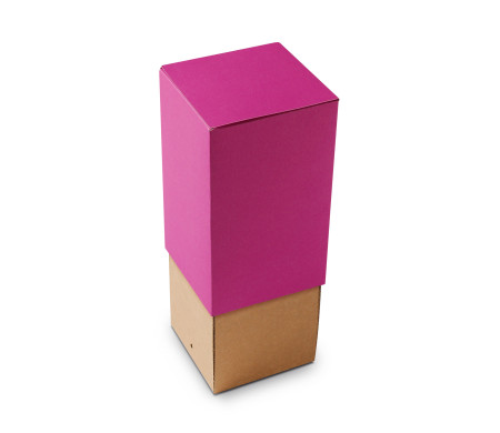 Caja de Cartón para Botellas Perfecta para Regalo