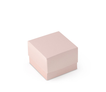 Bonita Caja Regalo con Tapa y Lazo Decorativo