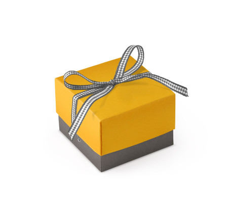 Bonita Caja Regalo con Tapa y Lazo Decorativo