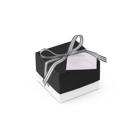 Bonita Caja Regalo con Tapa y Lazo Decorativo
