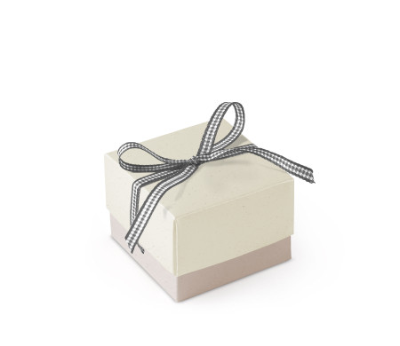Bonita Caja Regalo con Tapa y Lazo Decorativo