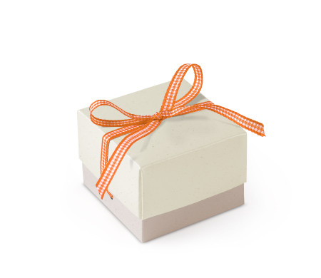Bonita Caja Regalo con Tapa y Lazo Decorativo
