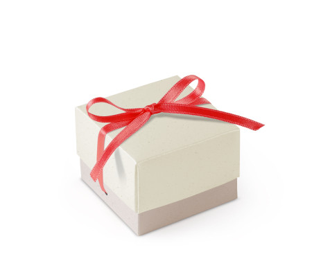 Graziosa Scatola Regalo con Coperchio e Fiocco Decorativo 