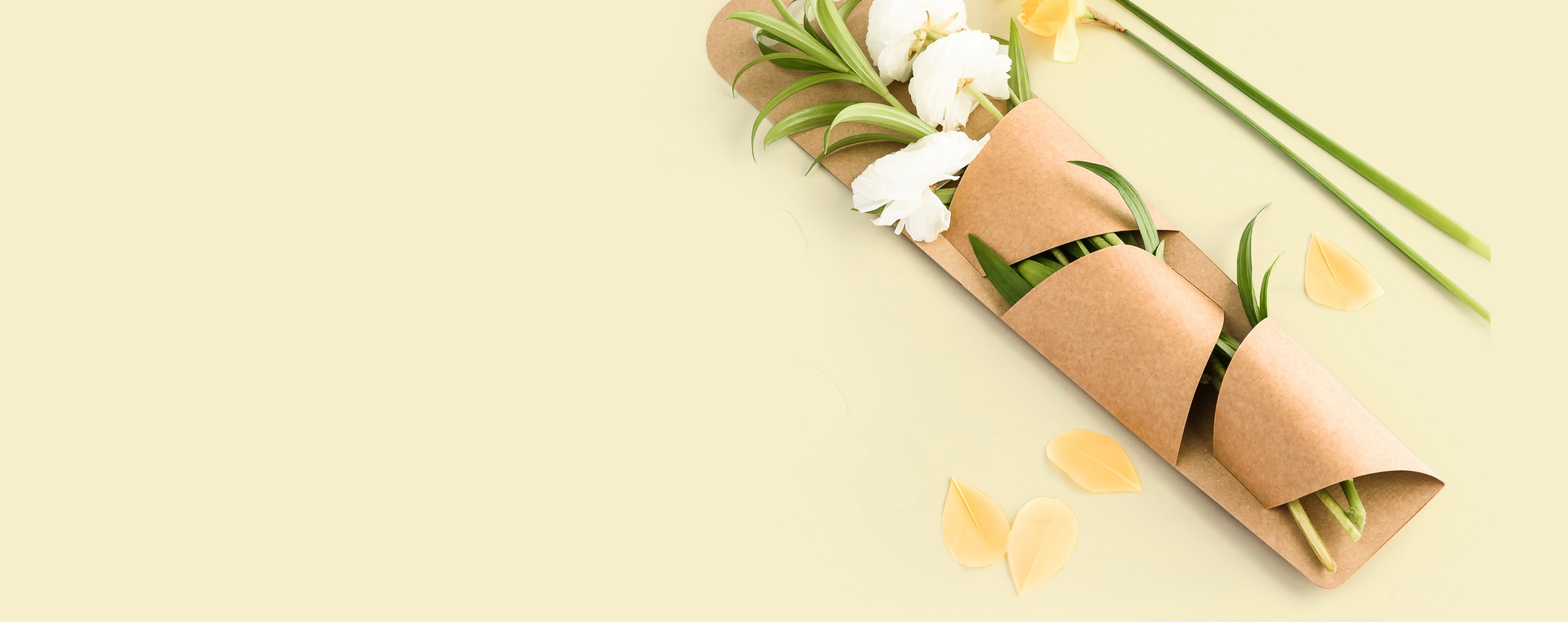 Boîtes pour fleurs