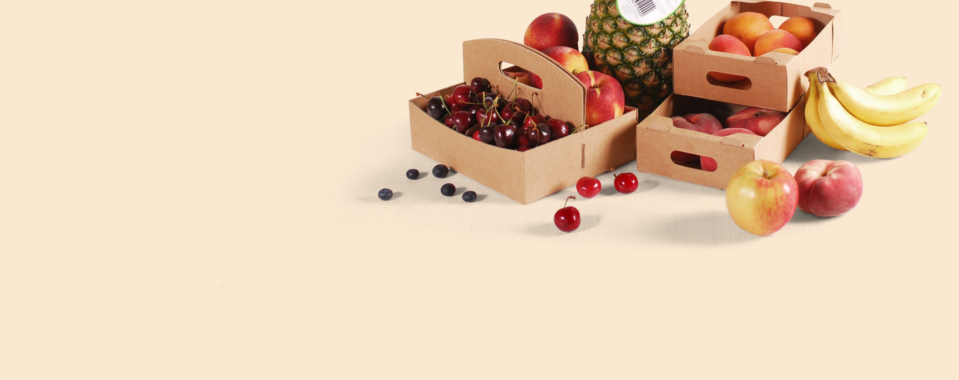 Cardboard fruit boxes and trays.